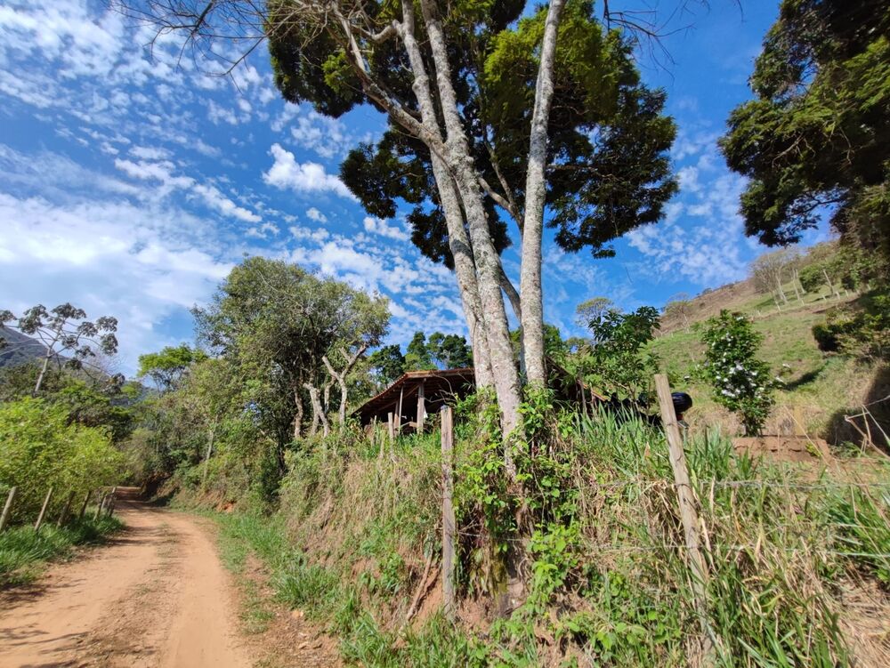 Sítio, 2 quartos, 24 hectares - Foto 1