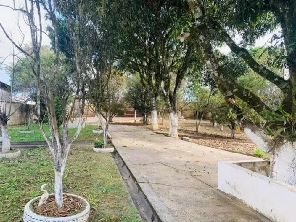 Chácara, 3 quartos, 3638 m² - Foto 1