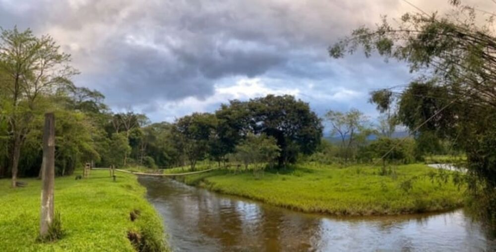 Sítio, 2 quartos, 2130 m² - Foto 4