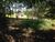 Terreno, 2600 m² - Foto 4