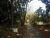 Terreno, 2 hectares - Foto 1