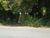 Terreno, 2 hectares - Foto 3