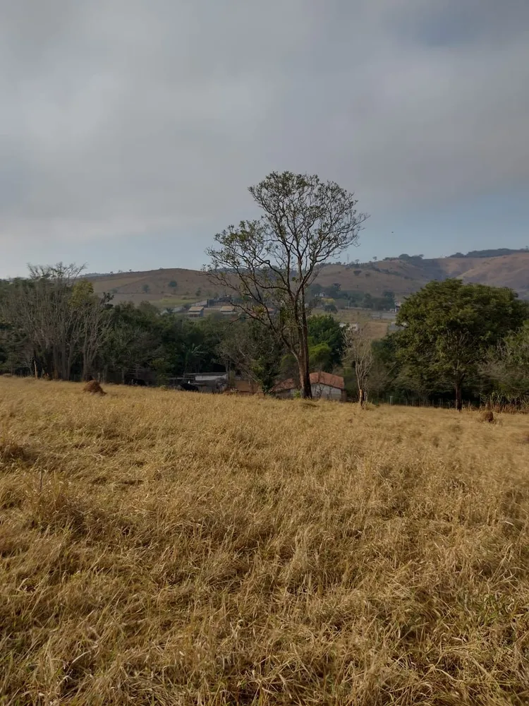 Terreno, 2 hectares - Foto 1