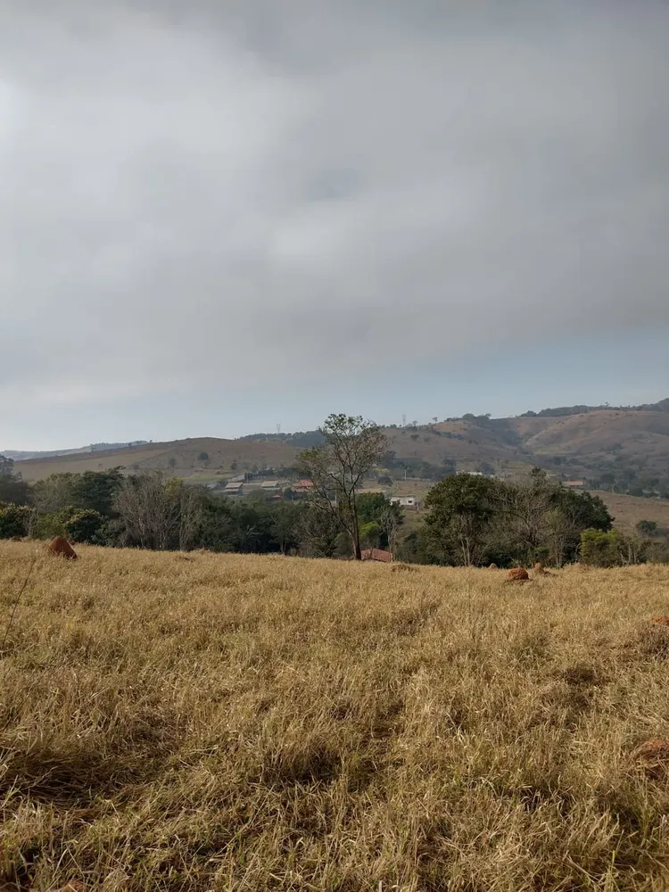 Terreno, 2 hectares - Foto 4