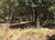 Terreno, 1500 m² - Foto 1