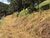 Terreno, 1500 m² - Foto 2