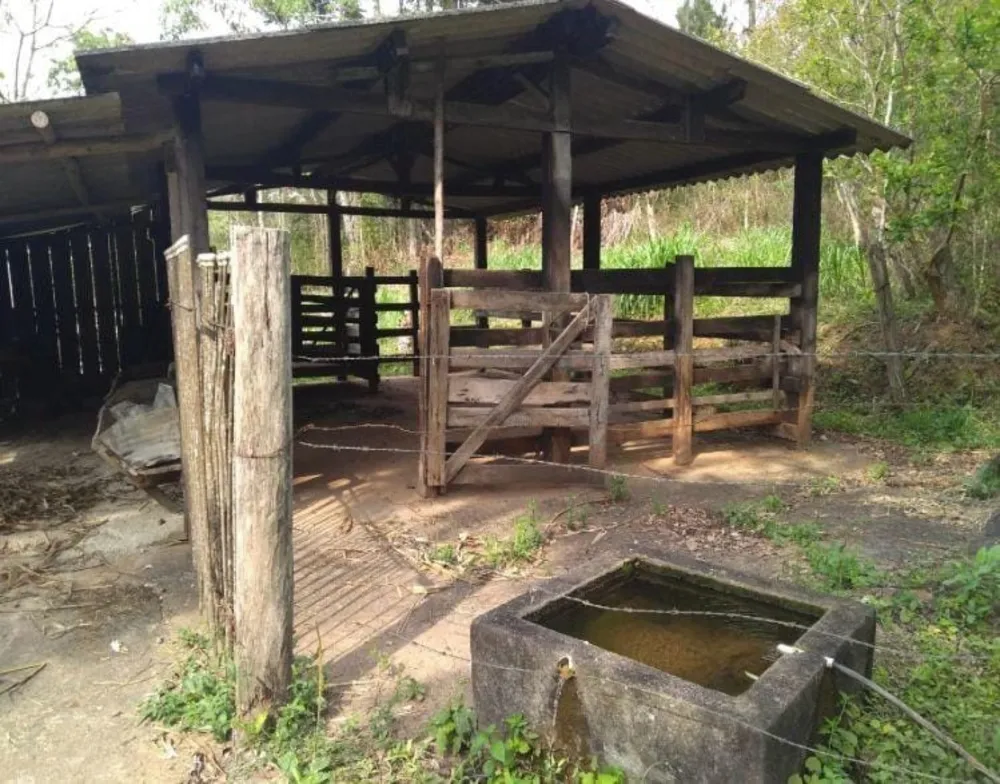 Chácara, 3 quartos, 6 hectares - Foto 4