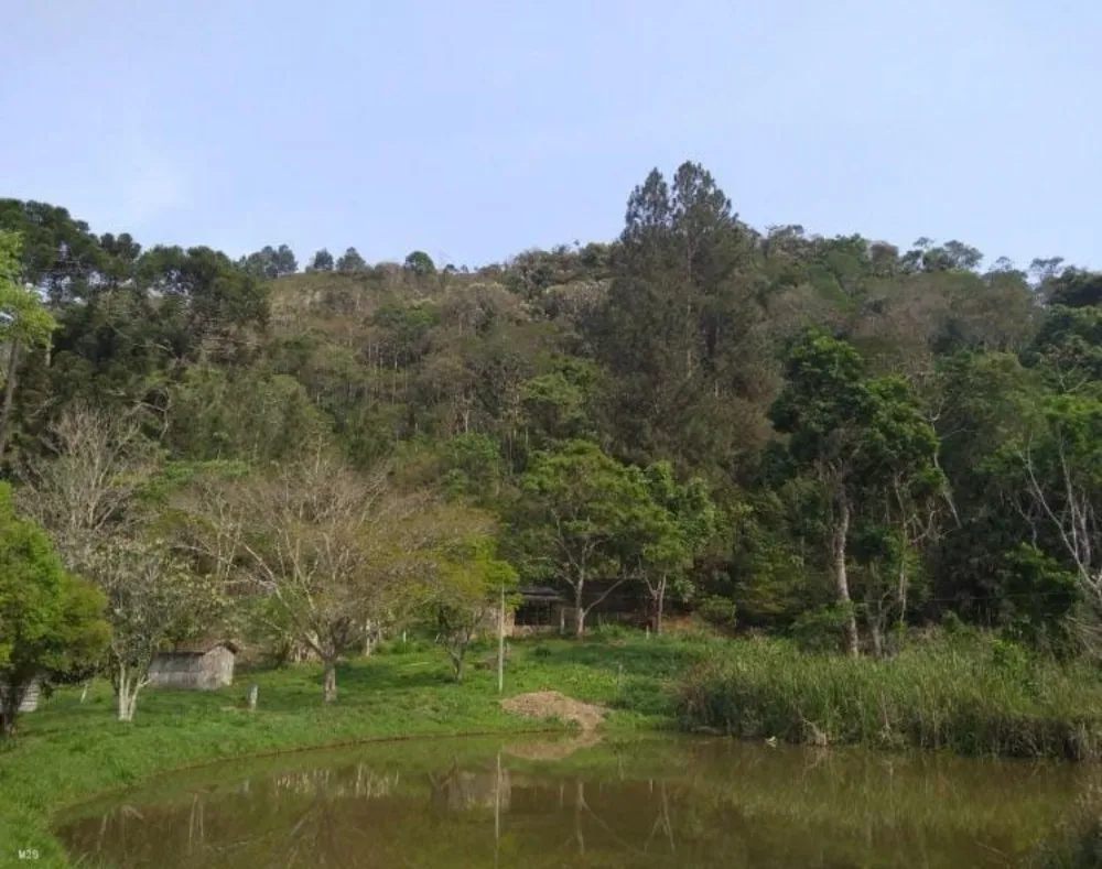 Chácara, 3 quartos, 6 hectares - Foto 2