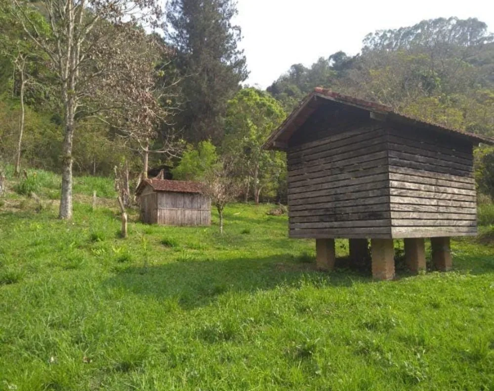 Chácara, 3 quartos, 6 hectares - Foto 3