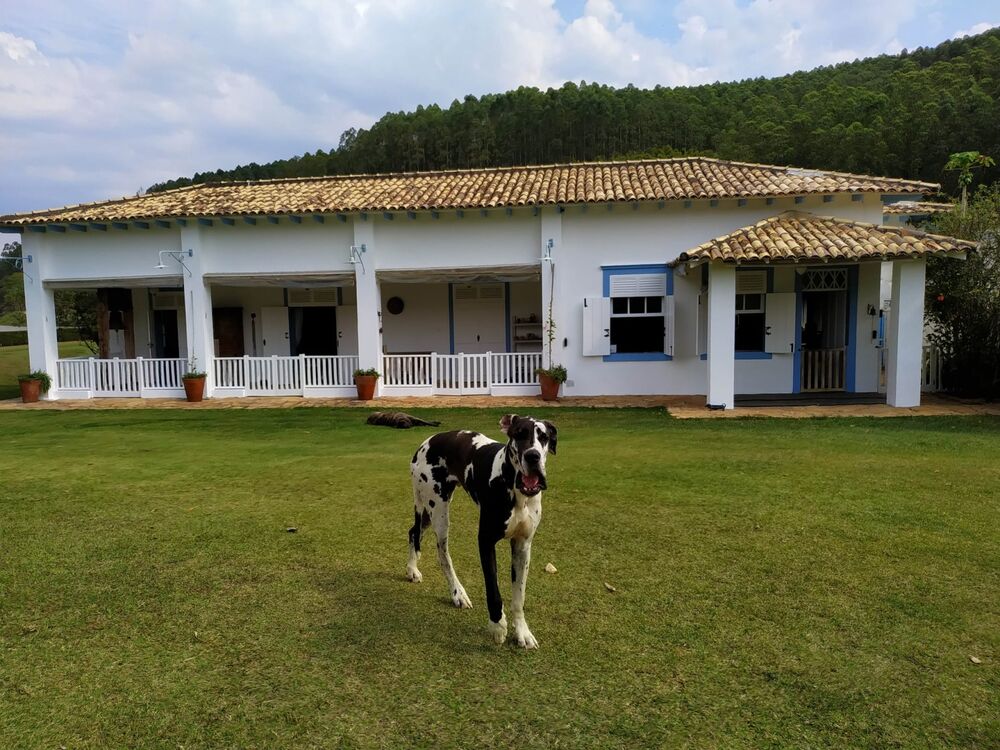 Sítio, 6 quartos, 600 hectares - Foto 26