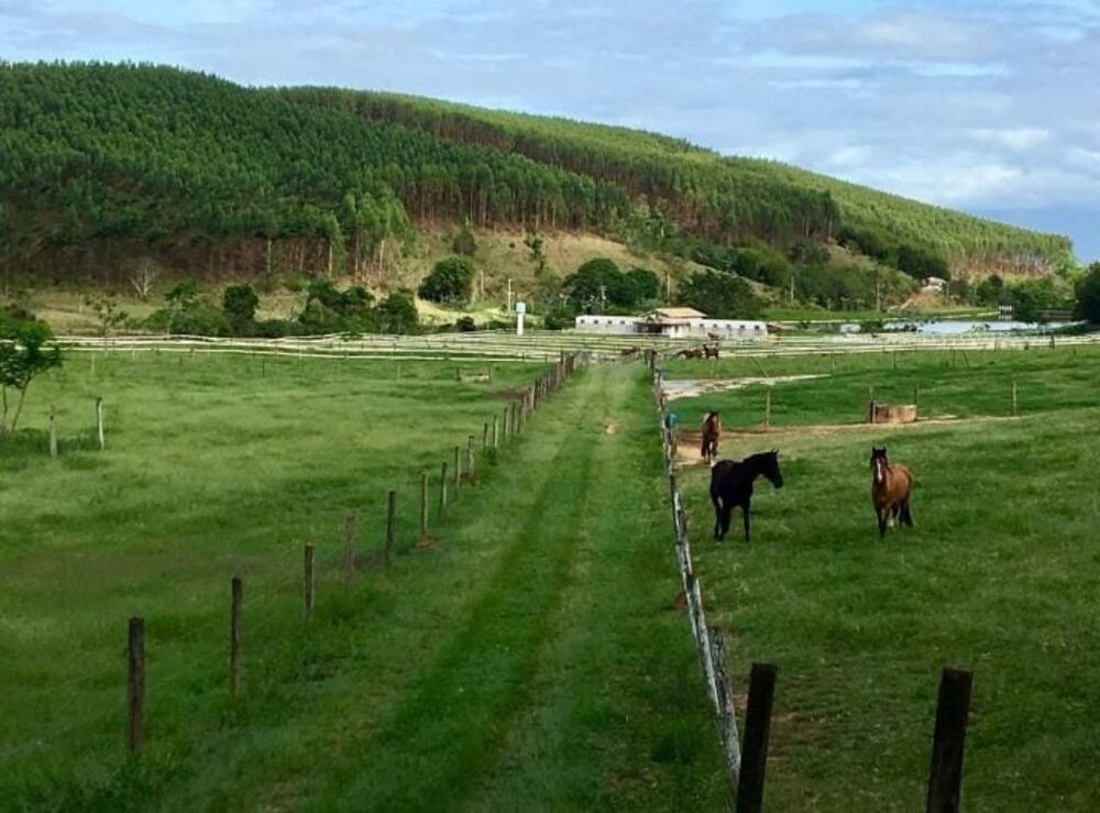 Sítio, 6 quartos, 600 hectares - Foto 34