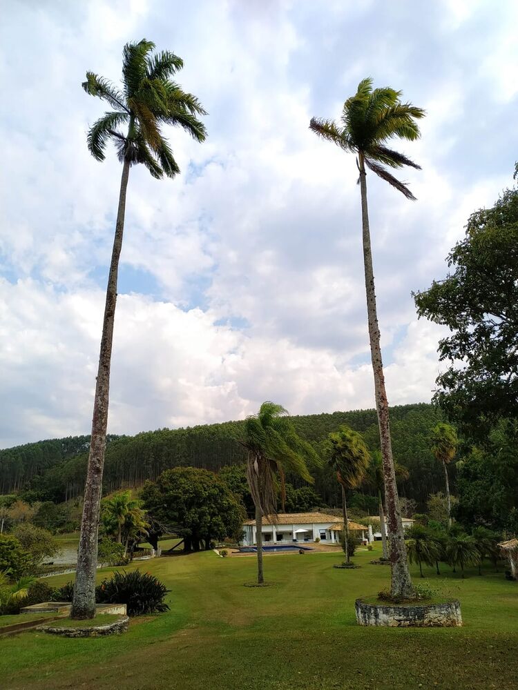 Sítio, 6 quartos, 600 hectares - Foto 8