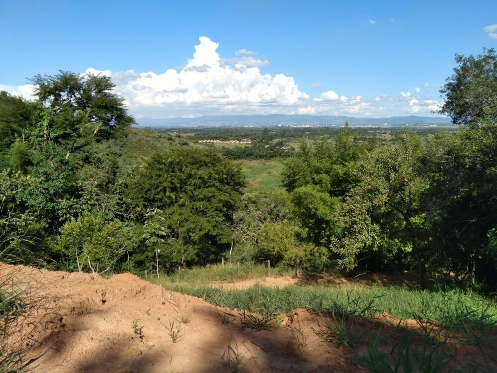 Terreno, 2 hectares - Foto 3