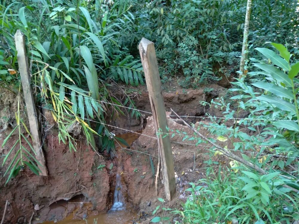 Terreno, 2 hectares - Foto 2