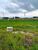 Terreno, 125 m² - Foto 4