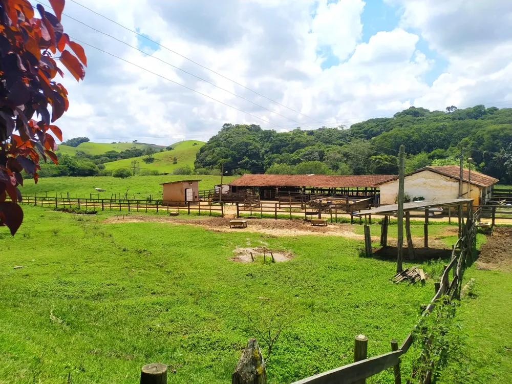 Sítio, 2 quartos, 41 hectares - Foto 4