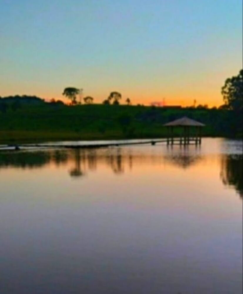 Sítio, 4 quartos, 8 hectares - Foto 4