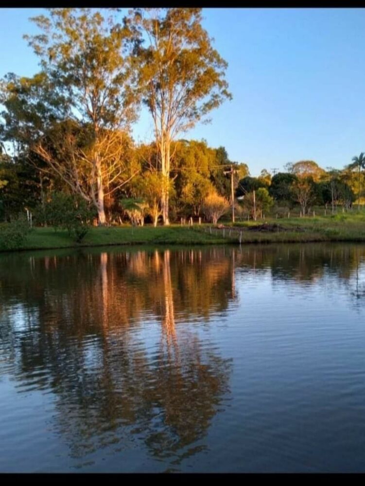 Sítio, 4 quartos, 8 hectares - Foto 8