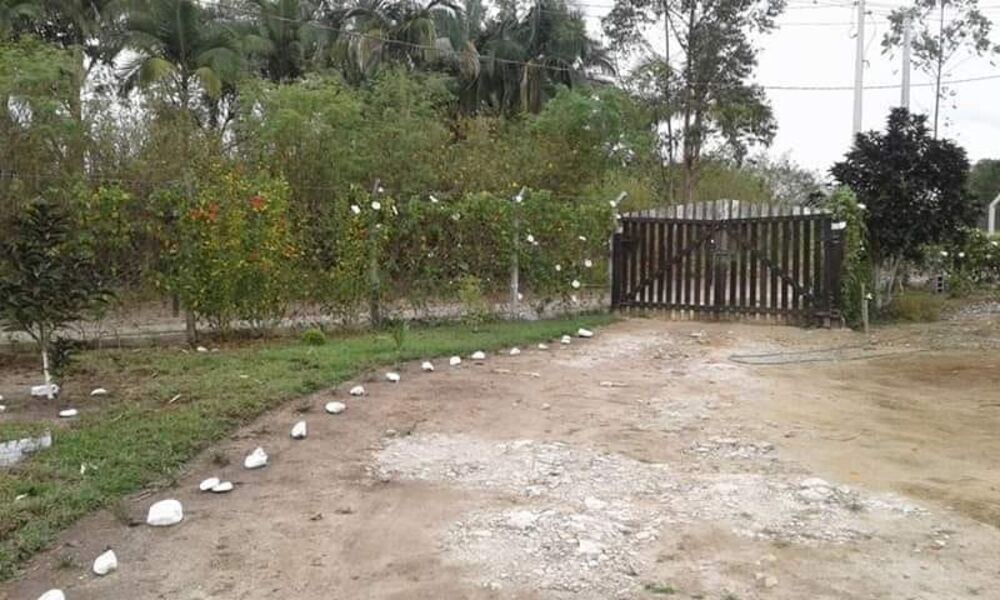 Chácara, 2 quartos, 2000 m² - Foto 10