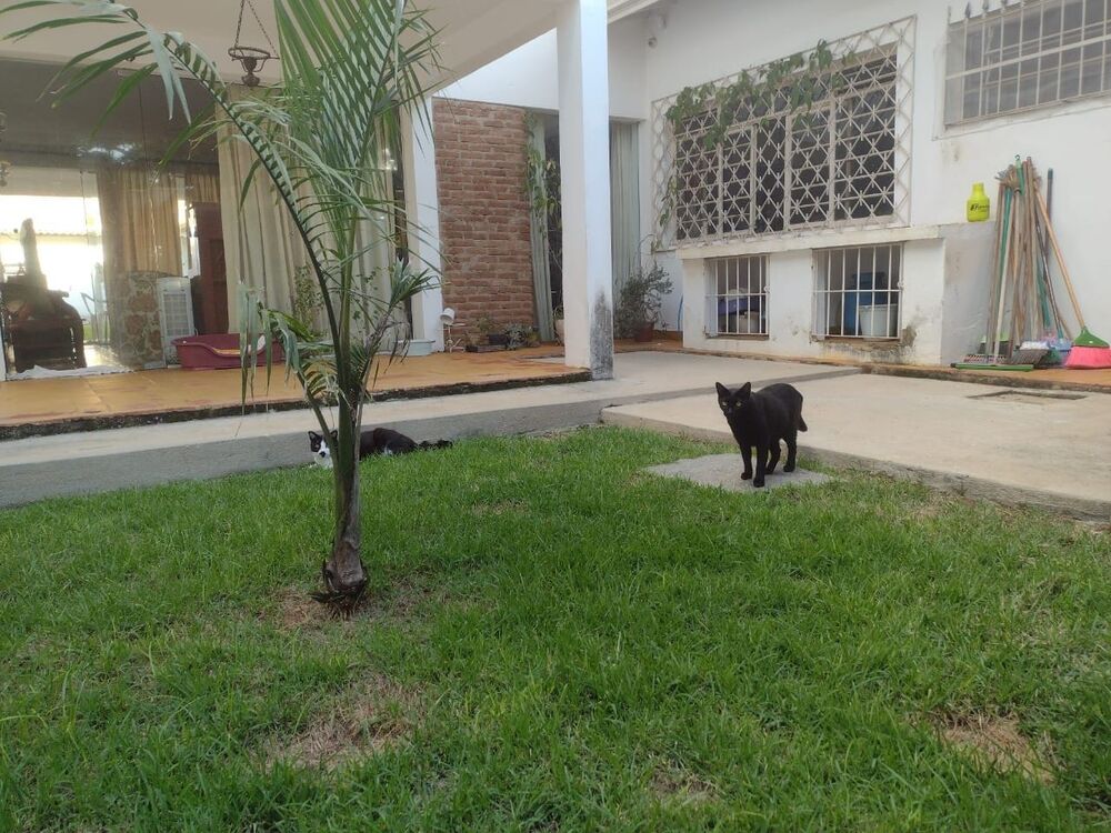 Casa, 4 quartos, 340 m² - Foto 6