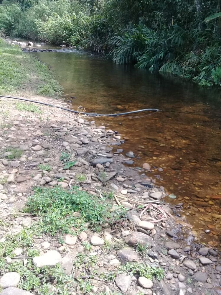 Terreno à venda, 12000m² - Foto 8