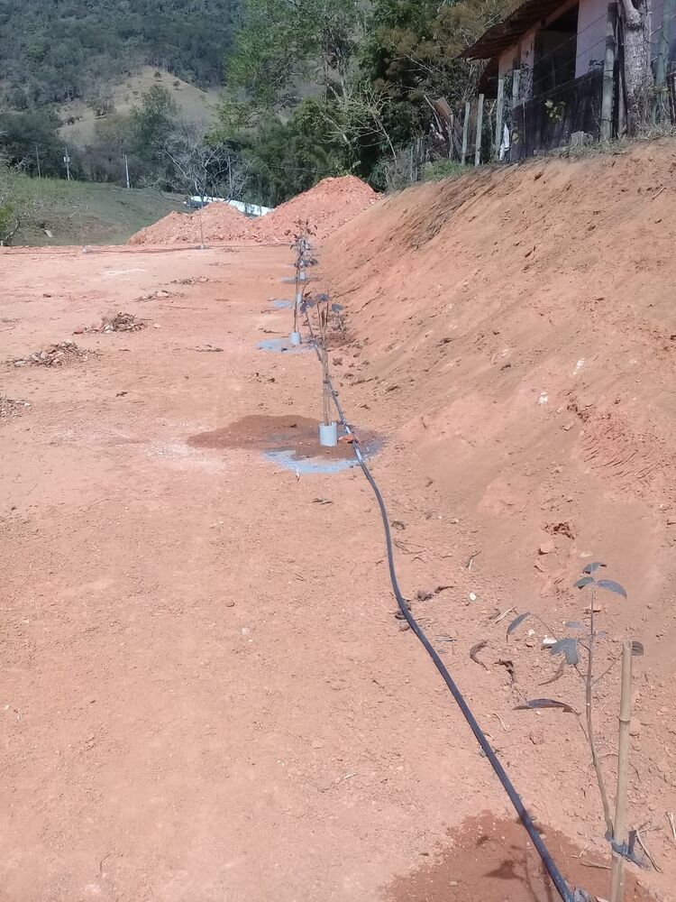 Terreno à venda, 12000m² - Foto 6