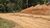 Terreno, 4 hectares - Foto 4