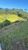 Terreno, 1002 m² - Foto 5