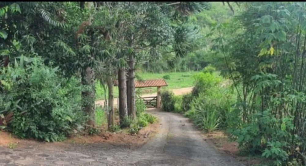 Sítio, 3 quartos, 10 hectares - Foto 4