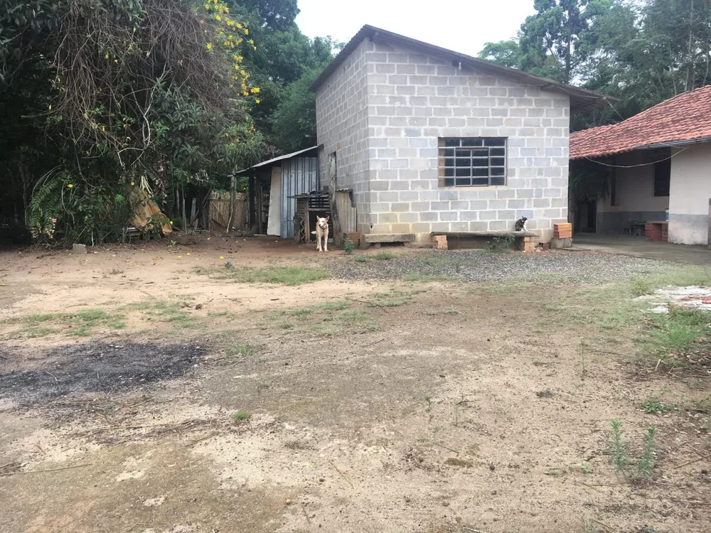 Terreno, 3 hectares - Foto 4
