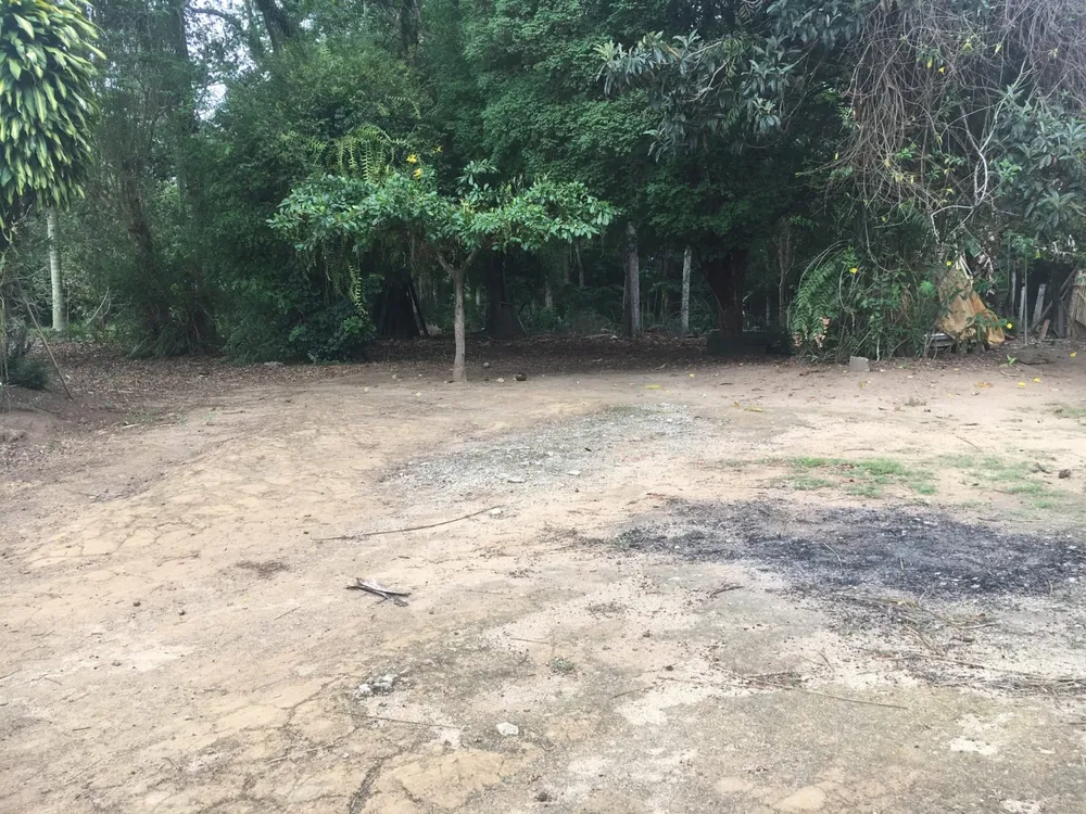 Terreno, 3 hectares - Foto 2