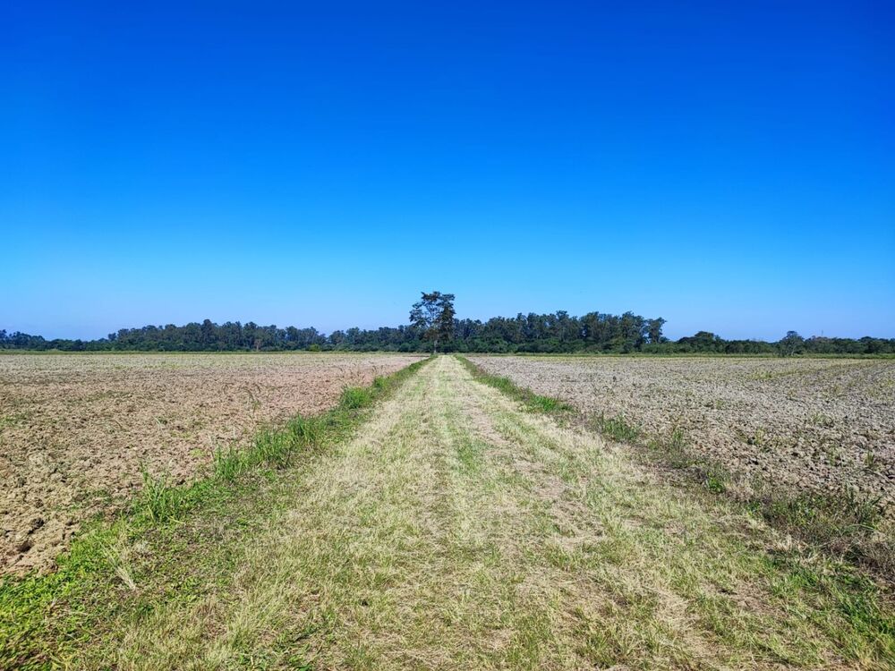 Terreno à venda, 24500m² - Foto 8