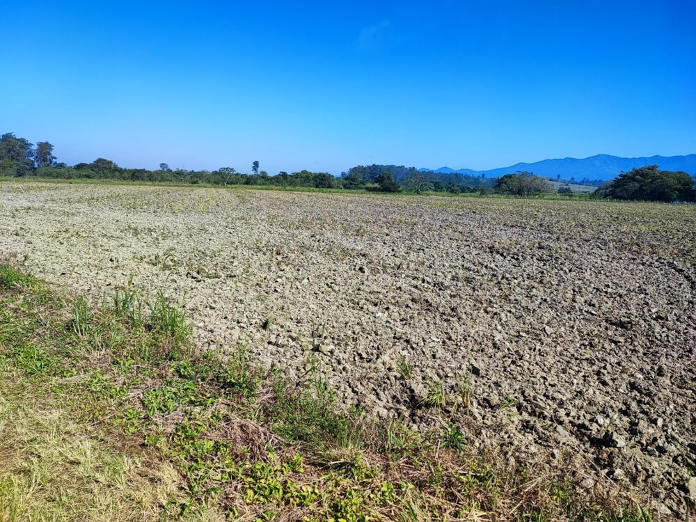 Terreno à venda, 24500m² - Foto 5