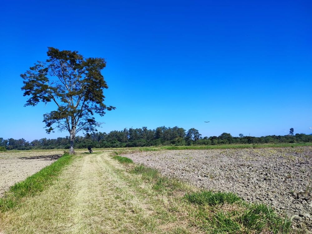 Terreno à venda, 24500m² - Foto 7
