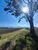 Terreno, 2 hectares - Foto 3