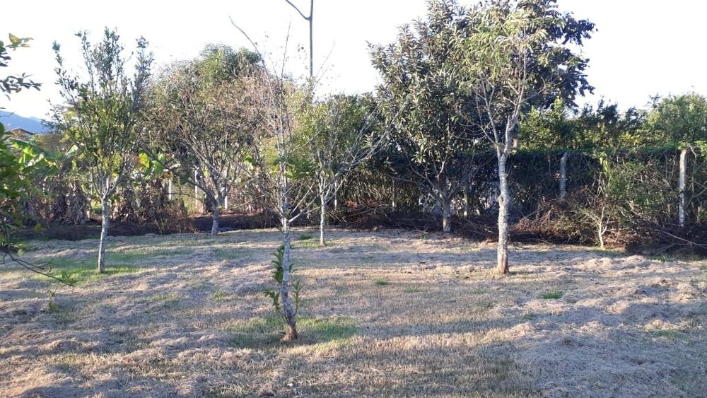 Terreno à venda, 2500m² - Foto 6