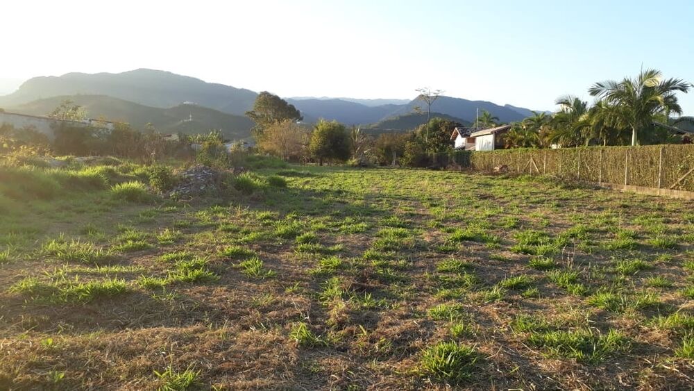 Terreno à venda, 2500m² - Foto 4
