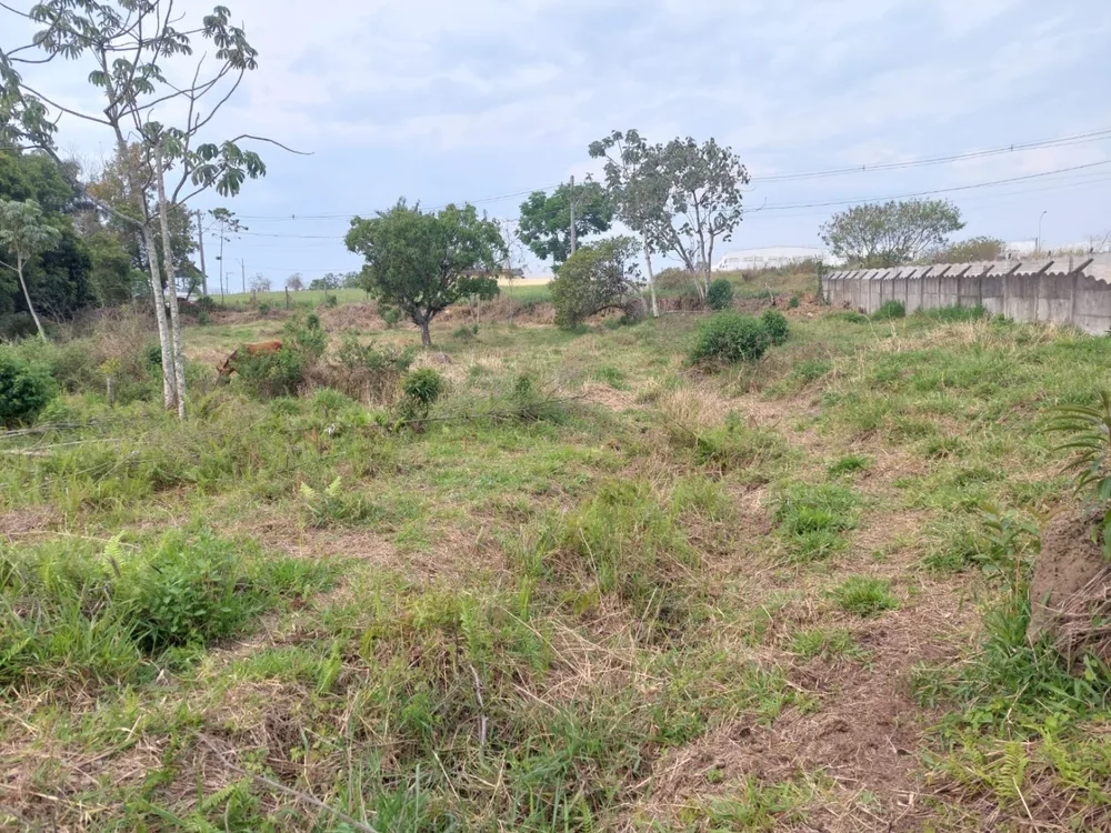 Terreno, 2663 m² - Foto 1