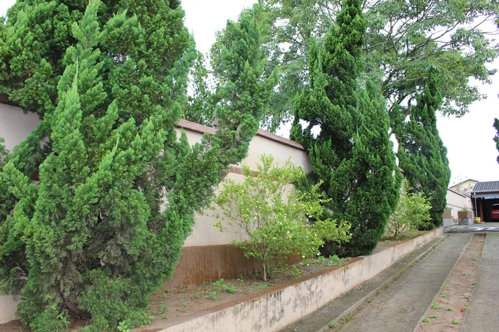 Casa, 6 quartos, 400 m² - Foto 2