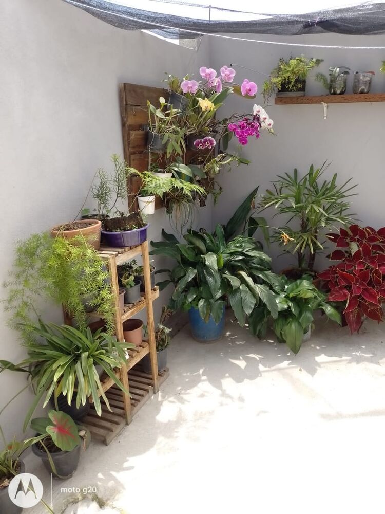 Casa à venda com 2 quartos, 250m² - Foto 1