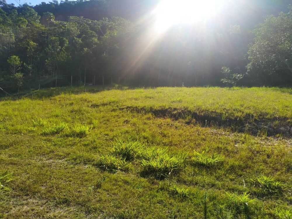 Chácara à venda com 3 quartos, 31104m² - Foto 2