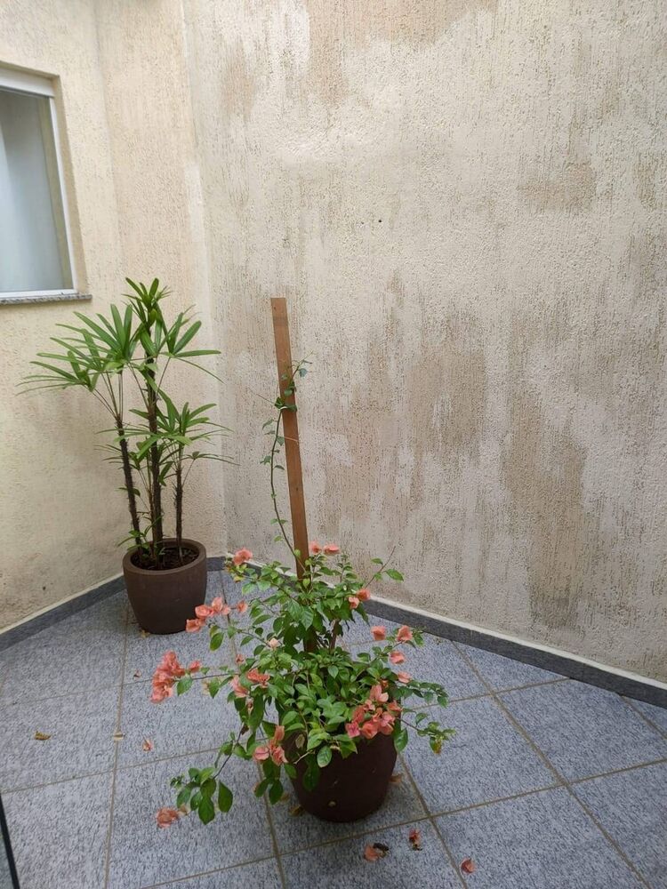 Casa à venda com 3 quartos, 122m² - Foto 6