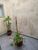 Casa, 3 quartos, 122 m² - Foto 6