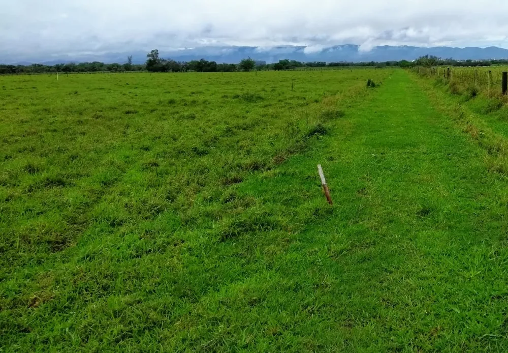 Terreno, 2 hectares - Foto 3