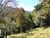 Terreno, 1500 m² - Foto 3