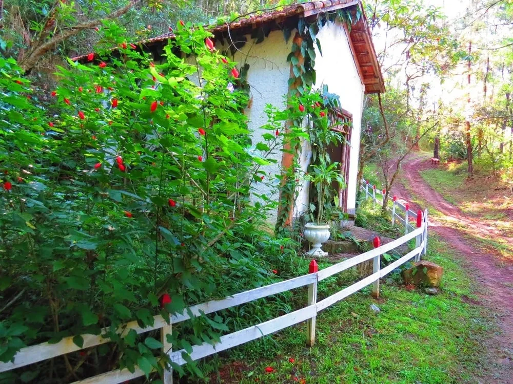 Terreno, 15 hectares - Foto 2