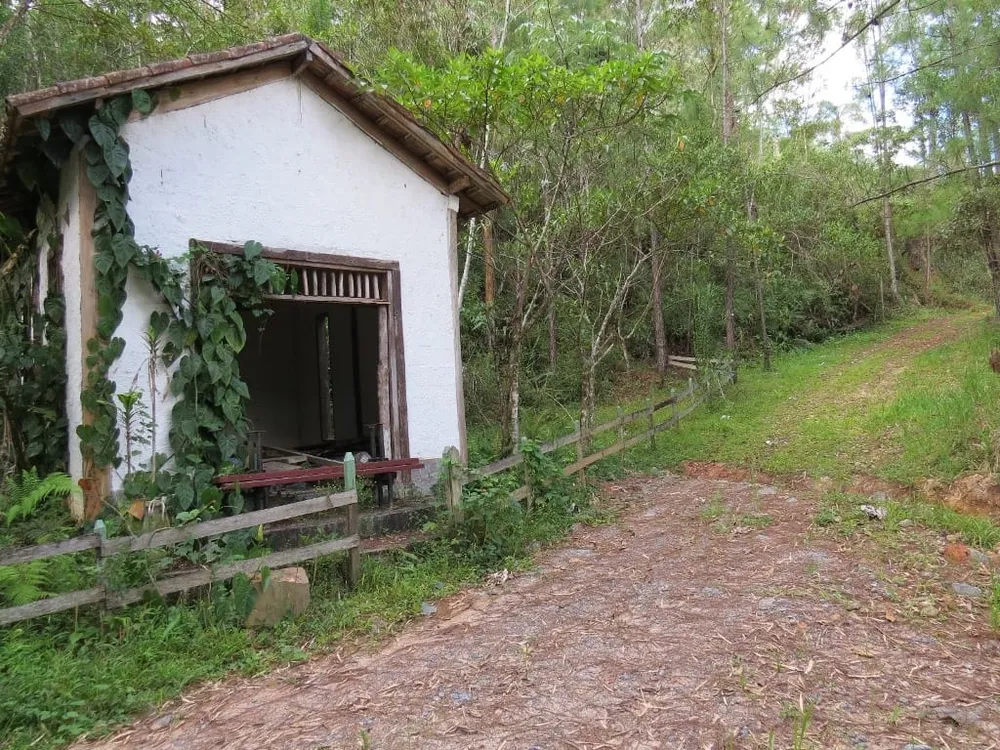 Terreno, 15 hectares - Foto 3