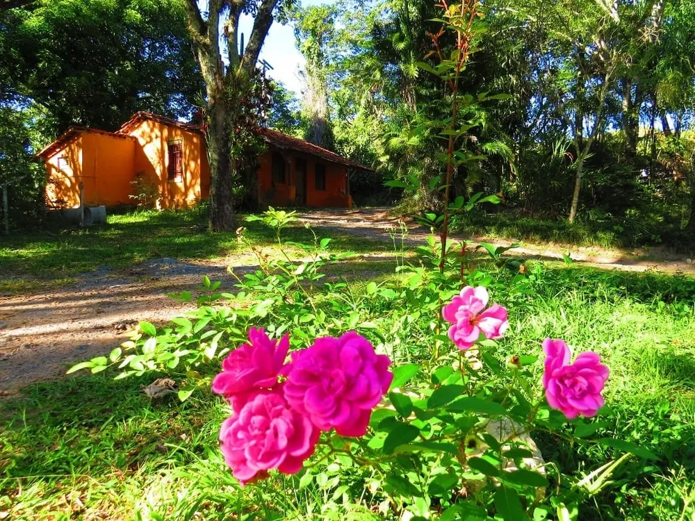Terreno, 15 hectares - Foto 1