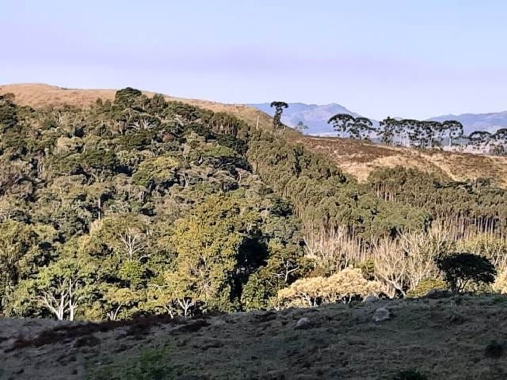 Terreno à venda, 170000m² - Foto 7