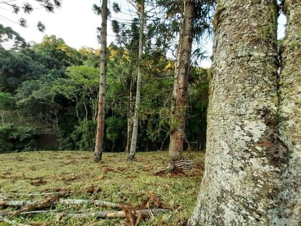 Terreno à venda, 170000m² - Foto 6